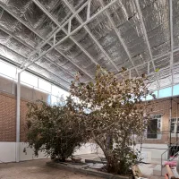 نزدیک حرم(مناسب دفاتر ‌مراکز فرهنگی وحوزوی)