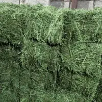 پرس یونجه سبوس گندم کاه گندم جو خوراک اسب