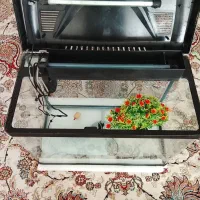 آکواریوم
