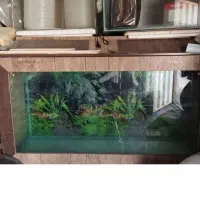 آکواریوم ماهی ام دی اف باپایه فلزی|ماهی|محلات, |دیوار