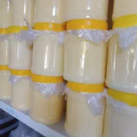 روغن حیوانی اصل کردستان|عمده‌فروشی|قم, طلاب غیر ایرانی|دیوار