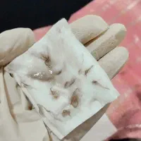 ارایشگاه سیار بانوان