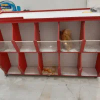 قفسه فروشگاهی