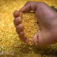 میخواهی صاحب  200 تومن پول بشی پیام بده