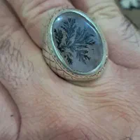 شجر زیبا تک درخت شفاف شیشه ای