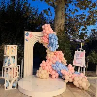 آنلاین گل رزلند