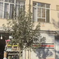 اجاره خانه ویلایی یک و نیم طبقه بر خیابان خرمشهر|اجارهٔ خانه و ویلا|ارومیه, |دیوار