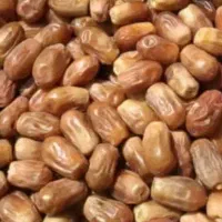 خرمای زاهدی (قصب )|خوردنی و آشامیدنی|شیراز, میانرود|دیوار