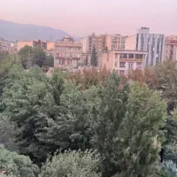۹۵ متر ۲ خواب ویو ابدی و مشجر بلوار دوستان|فروش آپارتمان|تهران, نظامی گنجوی (توانیر)|دیوار