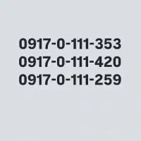 0917-0-111-353