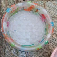 استخر بادی