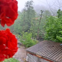 اجاره روزانه/هفتگی/ماهانه ویلا۷۰ متری|اجارهٔ کوتاه‌مدت ویلا و باغ|املش, |دیوار