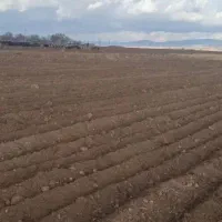 اجاره زمین  کشاورزی|اجارهٔ دفتر صنعتی، کشاورزی، تجاری|قره پشتلو, |دیوار