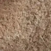 سبوس برنج تازه باکمترین قیمت