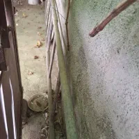 نردبان با لوله گازی ۴|ابزارآلات|مشهد, جانباز|دیوار