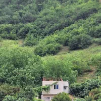 ویلا‌‌گل‌بنفشه‌در‌طبیعت‌روی‌بلندی
