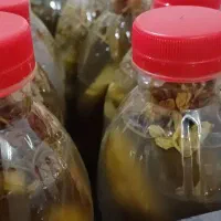 خیارشور ونایی