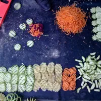 رنده چند کاره|ظروف پختوپز|کاشان, رجایی|دیوار