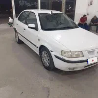 سمند سفید