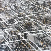 فرش ۱۲ متری ساری|فرش|میاندوآب, |دیوار