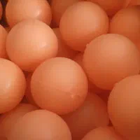 توپ بادی پنج سانتی نارنجی
