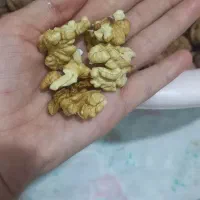 گردو کاغذی امسالی خوب ۸۰۰