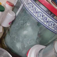 آکواریوم شیشه خم