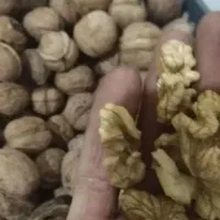 گردو پوست کاغذی|خوردنی و آشامیدنی|مشهد, امیریه|دیوار