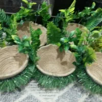 لانه سهره قناری فنچ