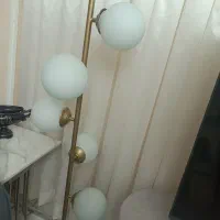 آباژور کنار سالنی ملکولی