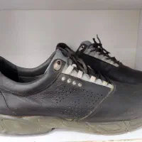 کفش چرم طبیعی زنانه