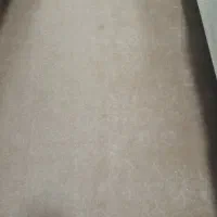 ۵۶ متر موکت