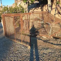 باربند نسیان