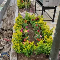 خدمات باغبانی هرسکاری گلکاری بیلزنی خاک گلدون|خدمات باغبانی و درختکاری|تهران, گلستان (شهرک راه آهن)|دیوار
