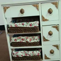 چاپیازی در حدنو