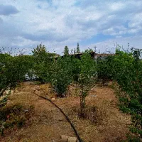 خانه ویلایی درب بهشت|فروش خانه و ویلا|درب بهشت, |دیوار