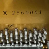 پیانو آکوستیک دیواری یاماها ارتفاع ۱۳۱ سری x|پیانو، کیبورد، آکاردئون|شیراز, قصرالدشت|دیوار