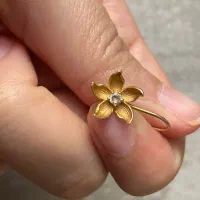 گوشواره طلا|جواهرات|مشهد, هنرستان|دیوار