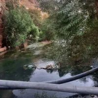 درخواست نظافت چی خانم