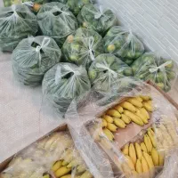پک پذیرایی ترحیم اقتصادی به قیمت مناسب