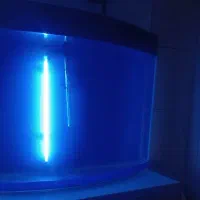 اکواریم|ماهی|زنجان, |دیوار