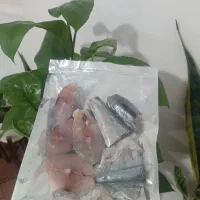 ماهی میگو بوشهر قایقی صید روز|عمده‌فروشی|دلوار, |دیوار