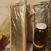 عسل طبیعی بهاره با موم وبدون موم ولبنیات محلی|خوردنی و آشامیدنی|تهران, استاد معین|دیوار