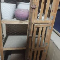 جفتگاه قفس