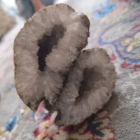 سنگ امیتیس|جواهرات|میان جلگه, |دیوار