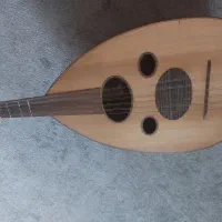 عود حرفه‌ای