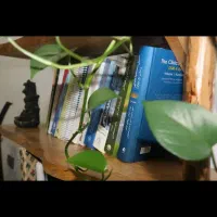 کتاب خانه چوبی|کتابخانه، شلف، قفسه‌های دیواری|طرقبه, |دیوار