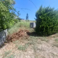 فروش زمین در شهرک مسکونی در بهترین لوکیشن|فروش زمین و ملک کلنگی|رویان, |دیوار