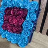 سفارش انواع گل های جاودان