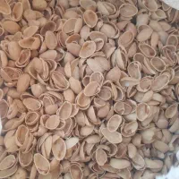 خرید و فروش انواع ضایعات پسته پوست پسته خاکه پسته